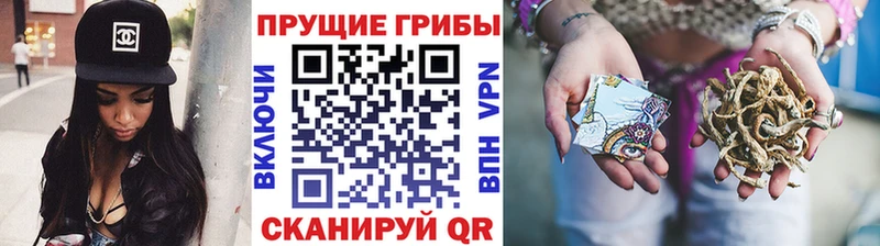Галлюциногенные грибы GOLDEN TEACHER  Ульяновск 